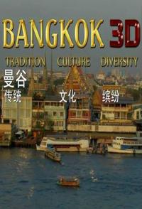 旅行纪录片《曼谷：探索古老宗教下的现代世界  Bangkok Tradition Culture Diversity》下载-零三纪录片资源网