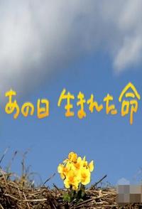 事件,社会生活纪录片《生于3·11 东日本大地震三周年 生于3·11 东日本大地震三周年》下载-零三纪录片资源网