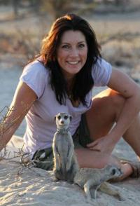 自然界里的超级大盗 Nature`s boldest thieves的海报