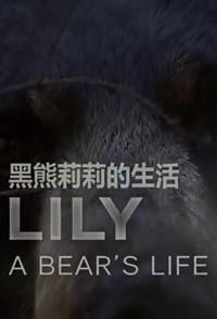 自然纪录片《莉莉 一头熊的生活 Lily, A Bear's Lif》下载-零三纪录片资源网