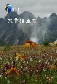 自然，旅行纪录片《大香格里拉 大香格里拉》下载-零三纪录片资源网