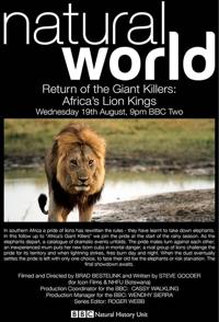自然纪录片《大型杀手归来 Return Of The Giant Killers - Africa's Lion Kings》下载-零三纪录片资源网