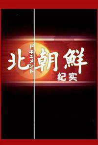 北朝鲜纪实 North Korea的海报