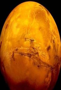 火星上的生命 Life On Mars的海报