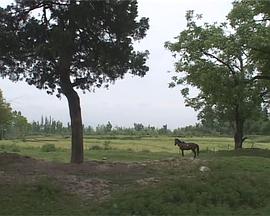 社会生活纪录片《我们如何欢庆自由 Jashn-e-azadi – How We Celebrate Freedom》下载-零三纪录片资源网