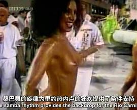 社会生活纪录片《巴西，巴西 Brasil Brasil》下载-零三纪录片资源网