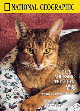 自然纪录片《猫谜 National Geographic 100 Years #49 Cats - Caressing The Tiger》下载-零三纪录片资源网