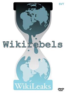 传记纪录片《维基解密的抗争 WikiRebels: The Documentary》下载-零三纪录片资源网