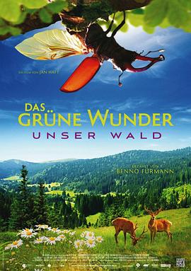 自然纪录片《大自然之舞 Das grüne Wunder – Unser Wald》下载-零三纪录片资源网