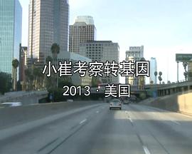 社会生活纪录片《小崔考察转基因》下载-零三纪录片资源网