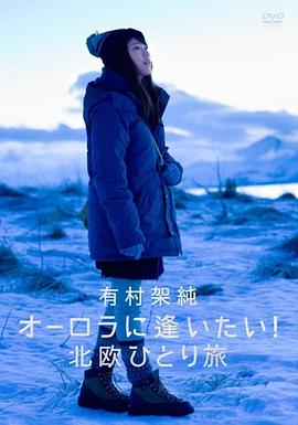 有村架纯 想看到极光! 北欧一人之旅 有村架純 オーロラに逢いたい! 北欧ひとり旅的海报