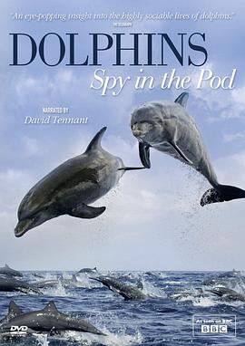 自然纪录片《卧底海豚帮 Dolphins – Spy in the Pod》下载-零三纪录片资源网