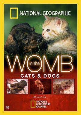探索纪录片《子宫日记：猫与犬 In the Womb: Cats and Dogs》下载-零三纪录片资源网
