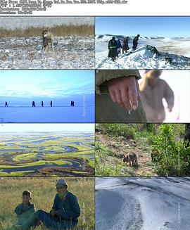 人文地理纪录片《东亚生态大勘探：阿穆尔河 동아시아 생명대탐사 아무르》下载-零三纪录片资源网