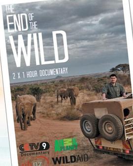 野性的终结的海报