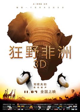 自然纪录片《狂野非洲 African Safari》下载-零三纪录片资源网