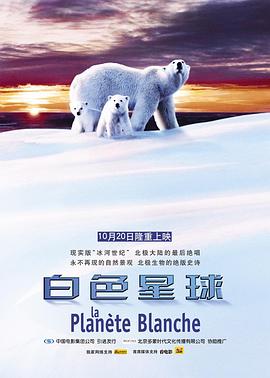自然纪录片《白色星球 La planète blanche》下载-零三纪录片资源网