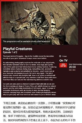 自然纪录片《宠物：内心狂野 Pets – Wild at Heart》下载-零三纪录片资源网