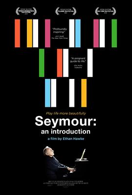 艺术，传记纪录片《西默简介 Seymour: An Introduction》下载-零三纪录片资源网