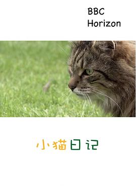 自然纪录片《地平线系列：小猫日记 Horizon: Little Cat Diaries》下载-零三纪录片资源网