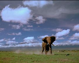 非洲的大象王国 Africa's Elephant Kingdom的海报