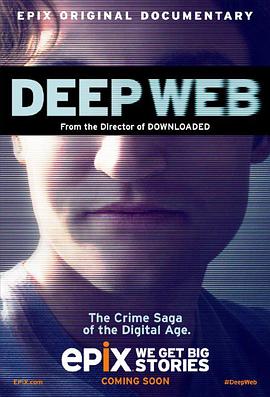 深网:比特币和丝绸之路未透露的故事 Deep Web: The Untold Story of BitCoin and Silk Road的海报