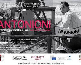 艺术纪录片《安东尼奥尼：拥有改变电影界的眼睛 Michelangelo Antonioni:The Eye That Changed Cinema》下载-零三纪录片资源网