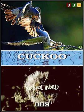 解密布谷鸟 The Natural World: Cuckoo的海报