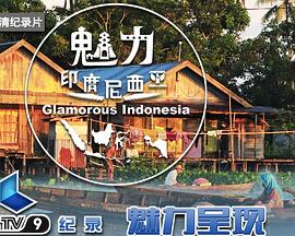 魅力印度尼西亚的海报