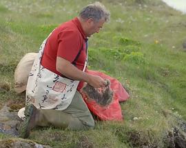 自然纪录片《自然世界：冰岛：冰与火的国度 Natural World: Iceland: Land of Ice and Fire》下载-零三纪录片资源网