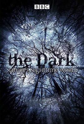 自然纪录片《黑暗中的自然界 The Dark: Nature's Nighttime World》下载-零三纪录片资源网