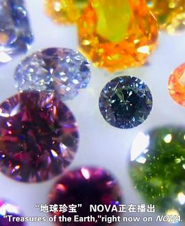 地球宝藏 Treasures of the Earth的海报