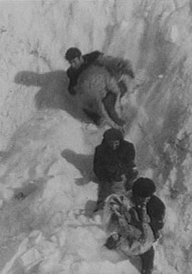 四季 Времена года的海报