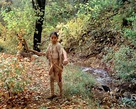 纪录片《锡安峡谷 Zion Canyon: Treasure of the Gods》下载-零三纪录片资源网