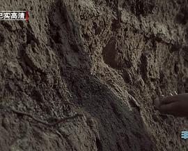 人文地理纪录片《草原历史名城呼和浩特：丰州古城》下载-零三纪录片资源网