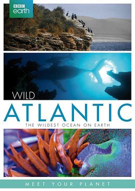 自然纪录片《大西洋:地球最狂野的海洋 Atlantic: The Wildest Ocean on Earth》下载-零三纪录片资源网