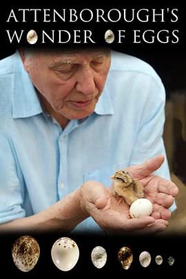 自然纪录片《大卫爱登堡:蛋的奇迹 Natural World: Attenborough's Wonder of Eggs》下载-零三纪录片资源网