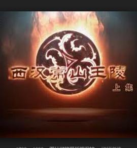 探索纪录片《探索发现：西汉常山王陵》下载-零三纪录片资源网