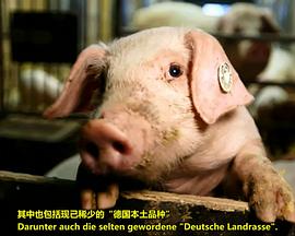 美食纪录片《我们的香肠有多棒？ Wie gut sind unsere Wurstwaren?》下载-零三纪录片资源网