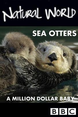 自然世界:海獭的百万宝宝 Sea Otters: A Million Dollar Baby的海报
