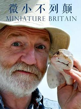 英国的微小生命 Miniature Britain的海报