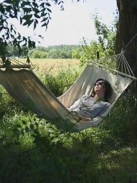 午睡的艺术 The Art of Napping的海报