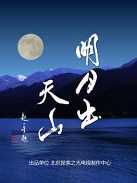 明月出天山的海报
