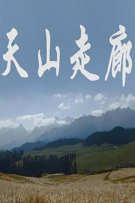 天山走廊的海报