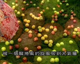 自然纪录片《气象大观 Wild Weather》下载-零三纪录片资源网