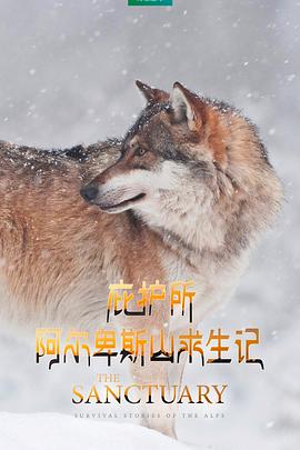 庇护所：阿尔卑斯山求生记 Le plus beau pays du monde 3 : Le sanctuaire的海报