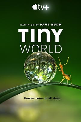 自然纪录片《小小世界 第一季 Tiny World Season 1》下载-零三纪录片资源网