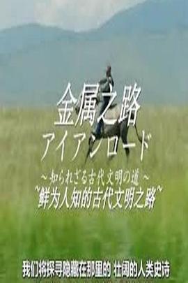 探索,历史纪录片《金属之路-鲜为人知的古代文明之路》下载-零三纪录片资源网