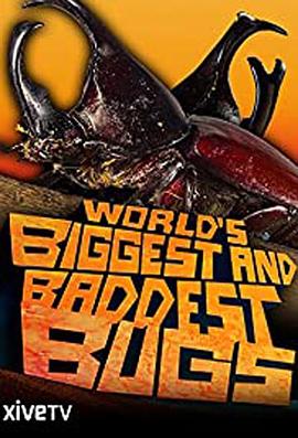 自然纪录片《虫霸天下 World's Biggest and Baddest Bugs》下载-零三纪录片资源网