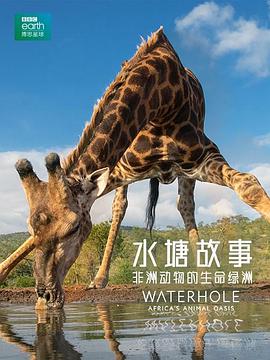 自然纪录片《水塘故事:非洲动物的生命绿洲 Waterhole Africa's Animal Oasis》下载-零三纪录片资源网